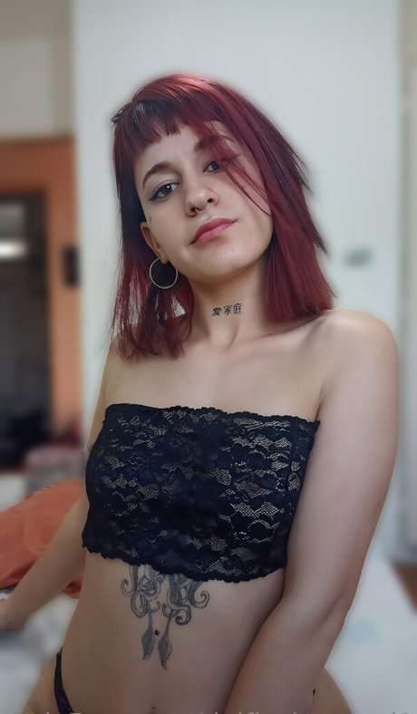Delfisebastiani1