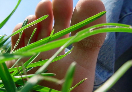 Homegiant  nude leaked OnlyFans photo