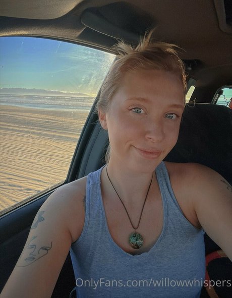 Willowwhispers