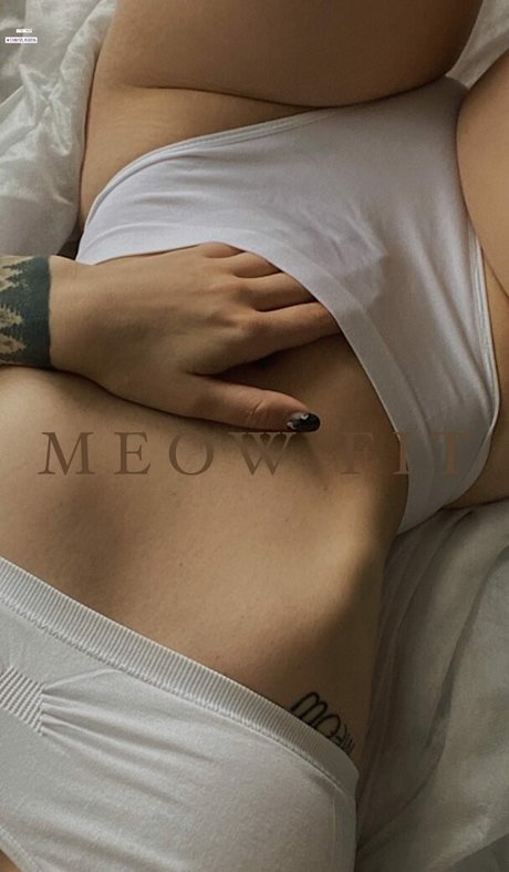 Meow Fit
