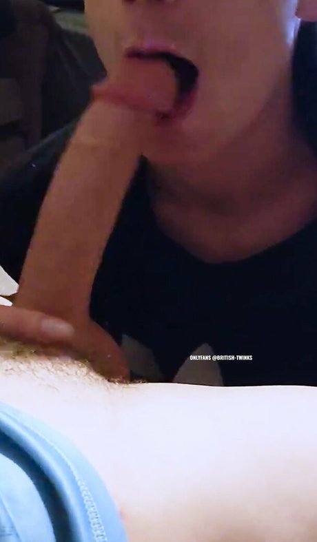 Britishtwinks