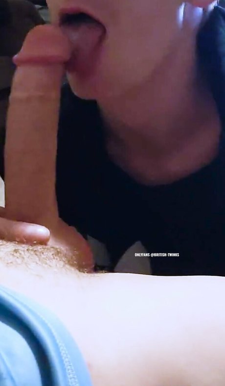 Britishtwinks