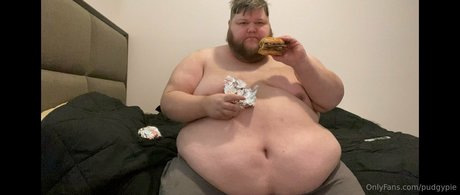 Pudgypie