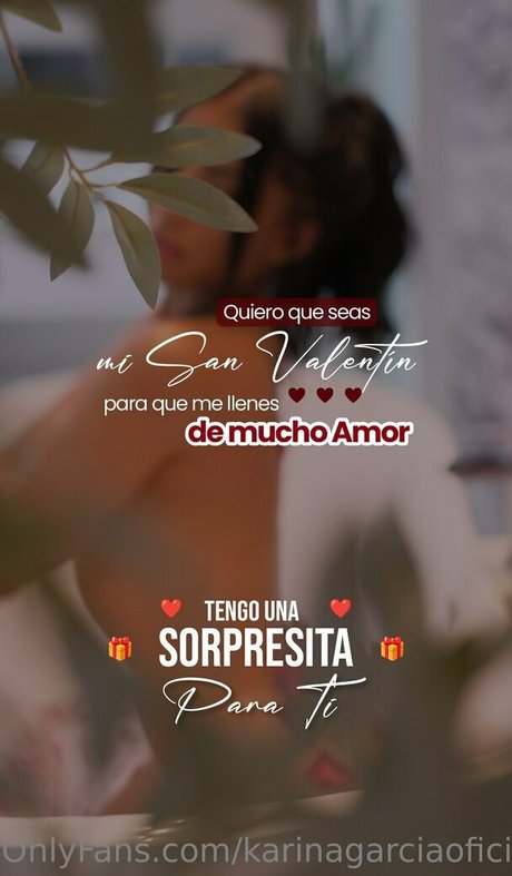 Karinagarciaoficial