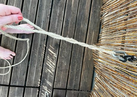 Downtherabbithole666