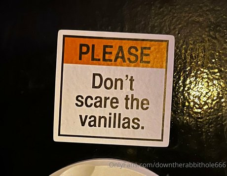 Downtherabbithole666